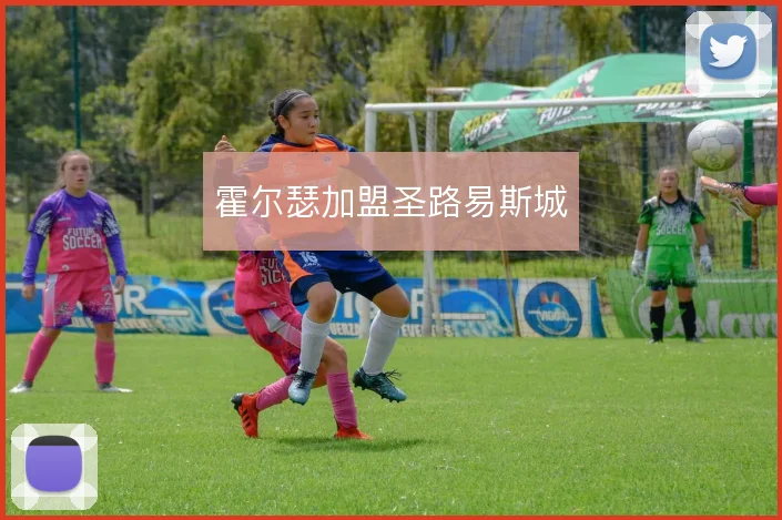霍尔瑟加盟圣路易斯城