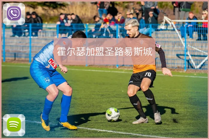 霍尔瑟加盟圣路易斯城